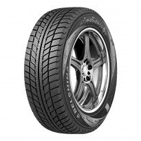 Шины Белшина Бел-307
