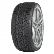 Зимние шины ARIVO Winmaster ProX ARW3 205/60 R15 91H