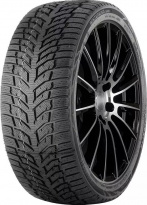 Зимние шины Doublestar DW08 205/50 R17 93H