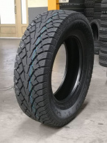 Шины Centara Winter RX858