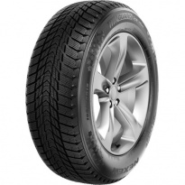 Зимние шины NEXEN Winguard Ice Plus 235/40 R18 95T RunFlat 21 год