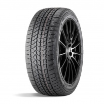Зимние шины Doublestar DW02 255/55 R20 110T