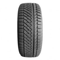 Зимние шины DELMAX Ultima Snow 225/55 R17 101T