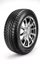Шины Centara VANTI WINTER