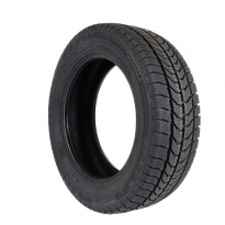 Шины Gislaved VanControl Arctic